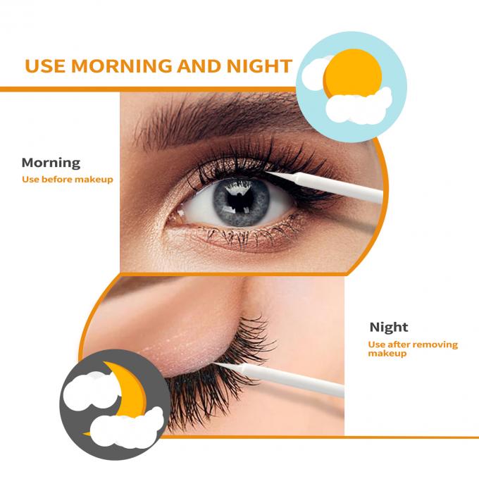 Maquiagem Diária Deve Ter Prolash 6,5 ml Enhancer de Cravos/Cravos para Lashes Mais Cheias 8