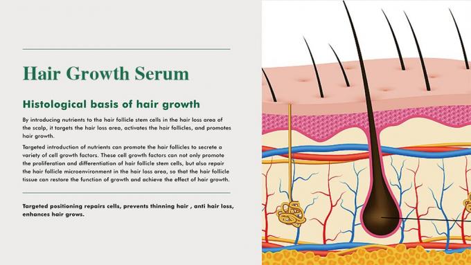 Tônico de cabelos de ervas para homens Previne a perda de cabelo Recrescer o cabelo Aumentar volume 3 meses de fornecimento 0