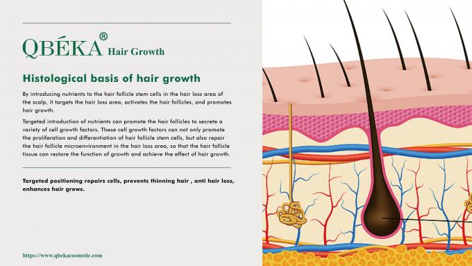 GMPC Standard 80ml Serum O Último Remédio Para Alopecia Areata Tratamento Perto de Mim 2