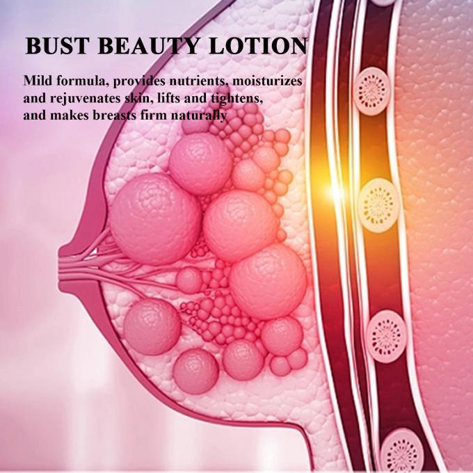 Loção de aumento de mama Bust Up Big Boobs Care Cream OEM/ODM aceitável personalizado 5